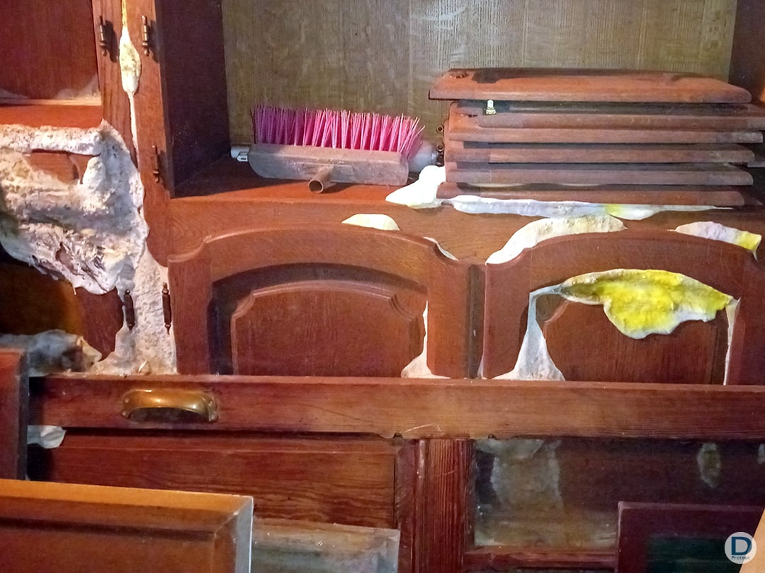 entreprise specialiste elimination propagation merule boiserie liege arlon huy charleroi